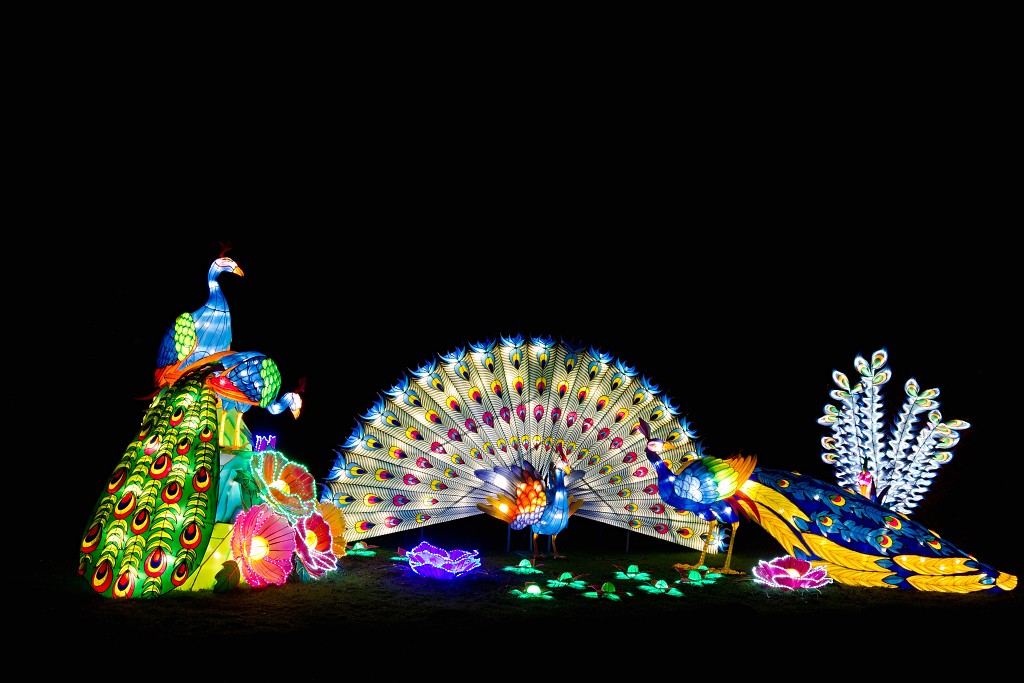 china light licht festival lichtshow show festiviteit glow evenement event chinees chinese verlichting draak dragon lichtfestival zoo